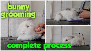 Bunny grooming complete process by Buhay Groomer| by Groomers Archive 219 views 3 years ago 16 minutes