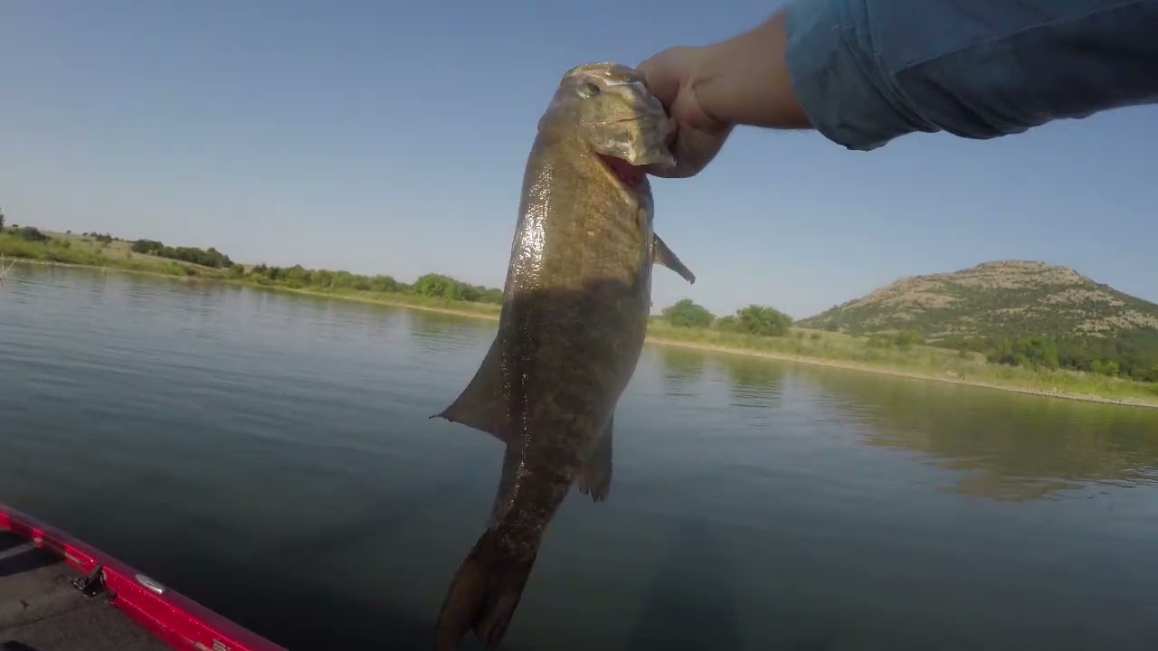 This one BIG BASS saved our day and tournament!! (Lake Lawtonka)