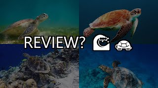 turtle maldives   your gateway to the beach & marine adventures await!