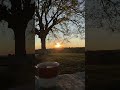 Look at this amazing sunset #sunset