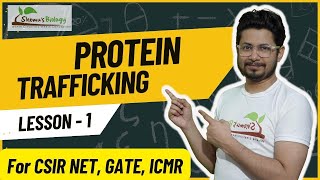 Protein trafficking CSIR NET | Protein trafficking pathway in cell | Protein trafficking mechanism