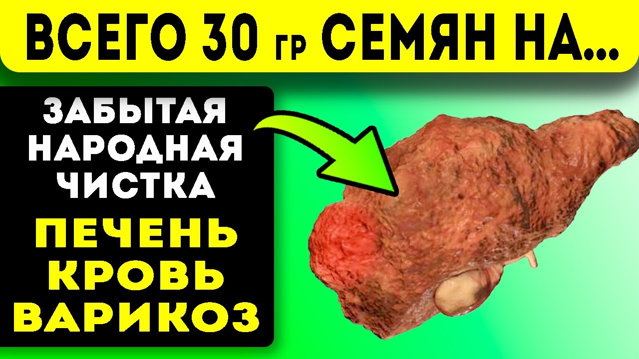 Печень в 2 раза меньше, когда я стал пить по 4 ложки расторопши с ...