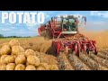 Hot Potatoes | Home Garden