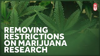 Reforming Federal Laws that Slow Marijuana Research
