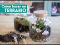 Cómo hacer un terrario en casa paso a paso
