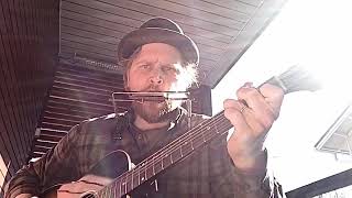 When I went down to Georgia (Lost Dog Street Band cover