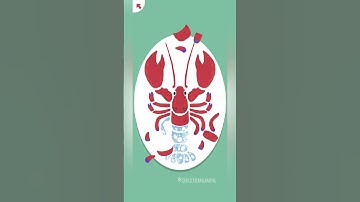 SATISGAME “PART 97” #satisgame #satisfyinggame