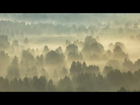 Video: Tigireksky Nature Reserve: kawasan semula jadi yang dilindungi di Wilayah Altai