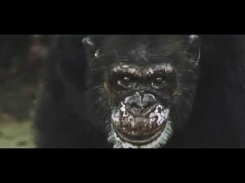 AWS (2) — AWS - Te is félsz [Hivatalos videó 2015]