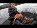 Living off grid in Alaska part of the way we harvest food is through crabbing