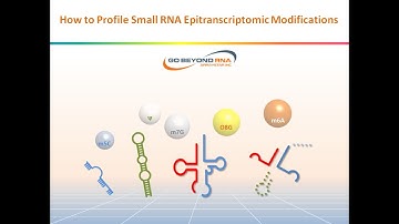Why and how to profile small RNA modifications?