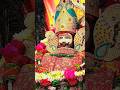 बाबा आपकी कृपा रही तो #khatushyamji #jaishreeshyam
