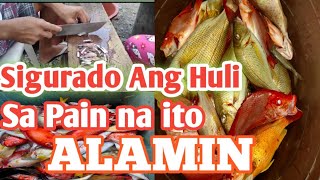 EPIKTIBONG PAMAIN SA MAMAHALING ISDA | Kabobordz TV