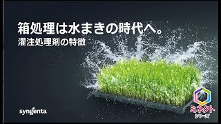 ミネクトブラスター顆粒水和剤｜シンジェンタジャパンの農業用製品