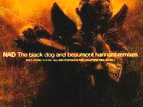 NAD - All I Ask Of Myself Is That I Hold Together (Just Together Mix by Beaumont Hannant)