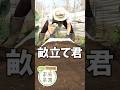【家庭菜園】手軽に畝整える　畝立て君　おまかせ菜園フクダ流