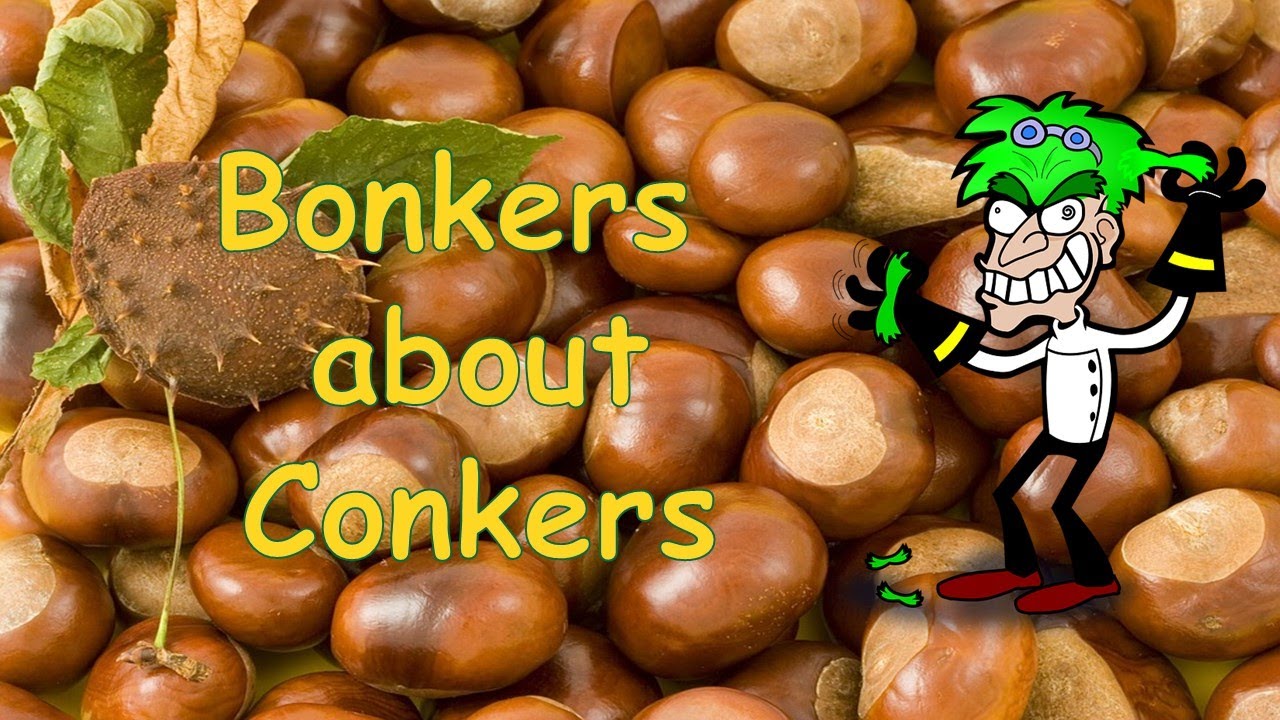 Bonkers about Conkers Kids Singalong Harvest Song Words on Screen