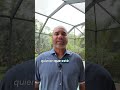 Los 4 Factores Que Determinan Si Calificas Para Comprar CasaLos 4 Factores Que Determinan Si Calific