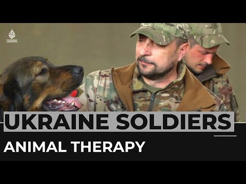 Ukraine soldiers ride out war stress with animal therapy