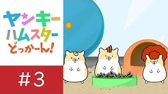 ヤンキーハムスター Youtube