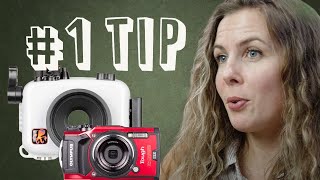 The BEST Piece of Advice as a Beginner Underwater Photographer