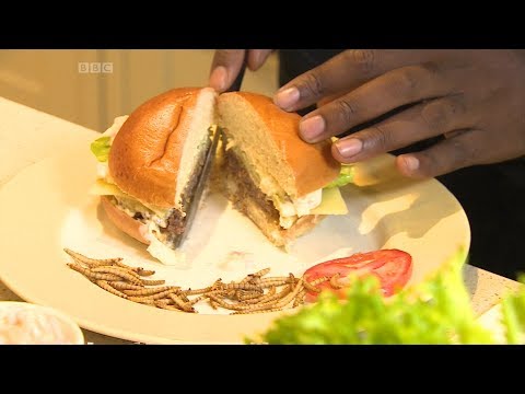 Are insects the food of the future? - BBC What's New