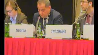 Working Session 6: Humanitarian Issues and Other Commitments (continued)