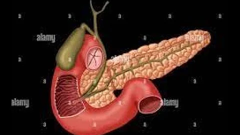 lecture 5 anatomy part 2 ( liver , gall bladder and pancreas)