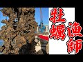 【ダイナミック映像】海の男！！瀬戸内海にて牡蠣漁師の漁に密着！！