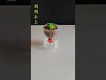 Plastic bottles transformed into succulent planters #wastererecycling #flowerpots #craft #flowerpots