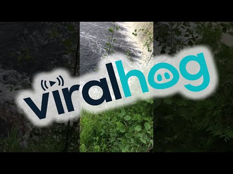 Deer Fawn Takes a Dive off 50 Foot Waterfall || ViralHog