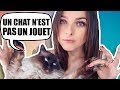 ADOPTER UN CHAT (contraintes et alimentation)