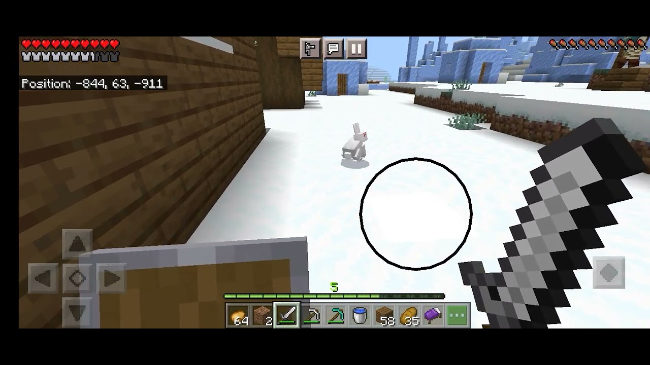 cat kill rabbit / minecraft - YouTube