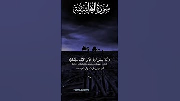 {أفلا ينظرون إلى الإبل كيف خلقت} [الغاشية:17]- عبدالرحمن مسعد - القرآن الكريم تحميل و استماع🎧🤍😔