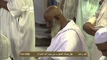 تلاوة من سورة الاحقاف بصوت فضيلة الشيخ ماهر المعيقلي