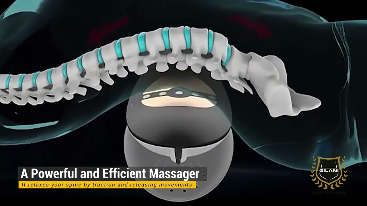 Electric Lumbar Massager With Heat, Vibration Back Pain