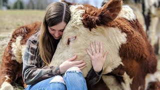 Женщина создала убежище, чтобы спасти корову, проданную фермеру