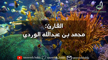 آية ومعنى3| سورة هود| القارئ: محمد بن عبدالله الوردي