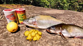 Catch n' Cook FAT Trout, Catfish & Pickle Foraging in the Mountains!