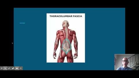 INJURIES TO muscles - Google Slides