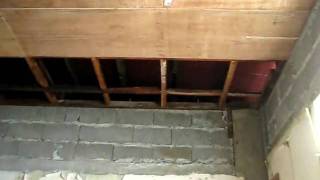MVI_4507.avi