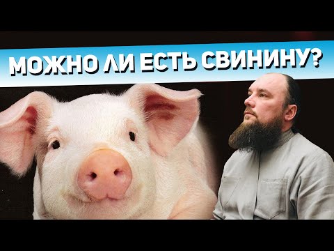 Можно ли есть свинину? Священник Максим Каскун