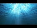 why ocean 🌊 is blue. समुंद्र का पानी नीला क्यों होता है?