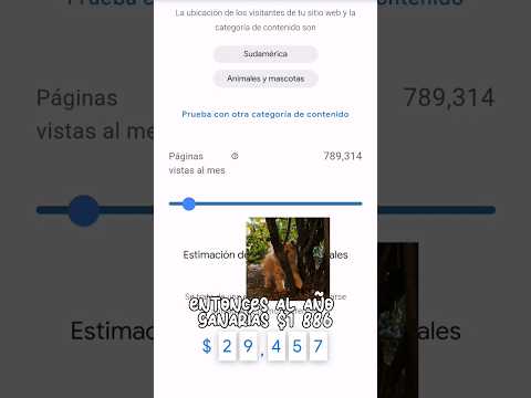 Cuanto pagan por pagina web en google adsense