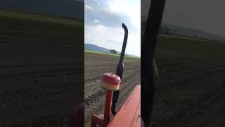 isbora 65 9 motoru taktık pancar ara capasi cekiyoz