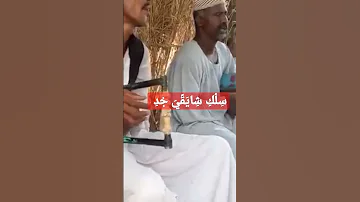 طمبور شايقي علي اصولو Music Explore Dance Religion Funny Live 