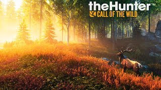 theHunter Call of the Wild - Душевная охота!