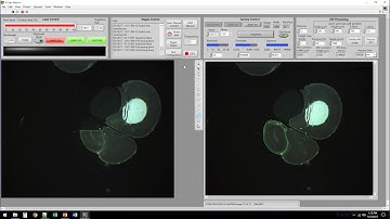 FFPE Ablation after paraffin removal