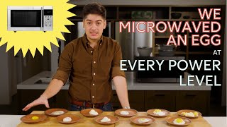 We Microwaved an Egg at Every Power Level to See What Happens