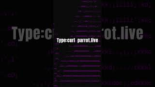 Explaining the 'curl' Command in Windows CMD